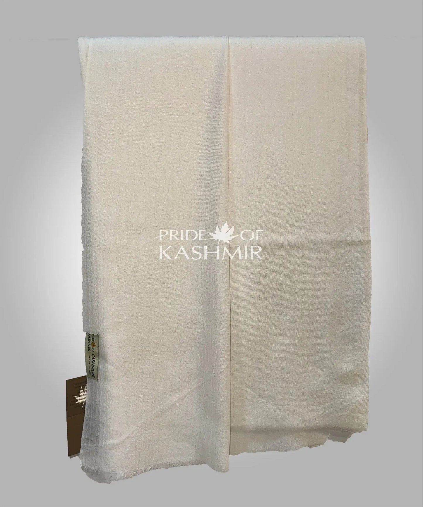 Winter’s Embrace image 3