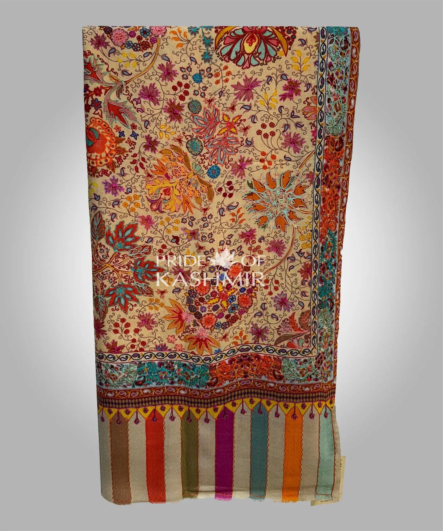 Kashmir’s Dawn image 3