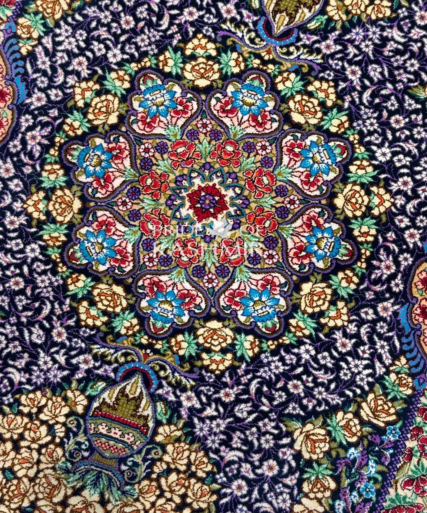 Silent Sonata image 2