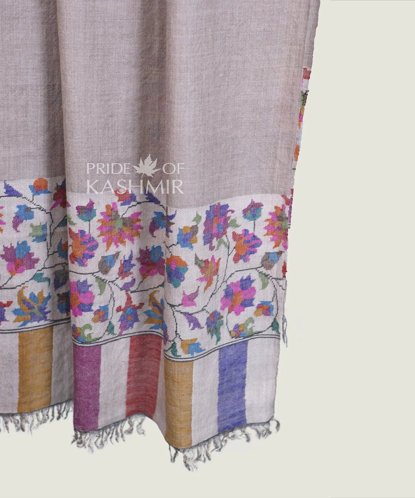 Pride of Color image 4