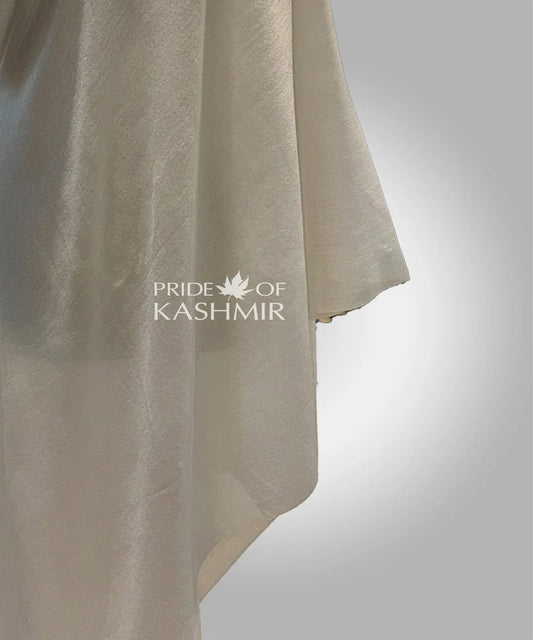 Winter’s Embrace image 1