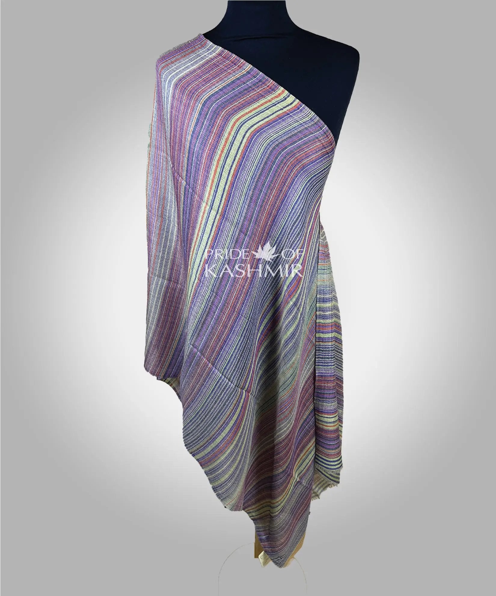 Lavender Drift Pride of Kashmir