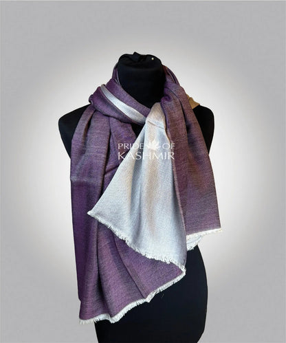 Moonlit Whisper Pride of Kashmir