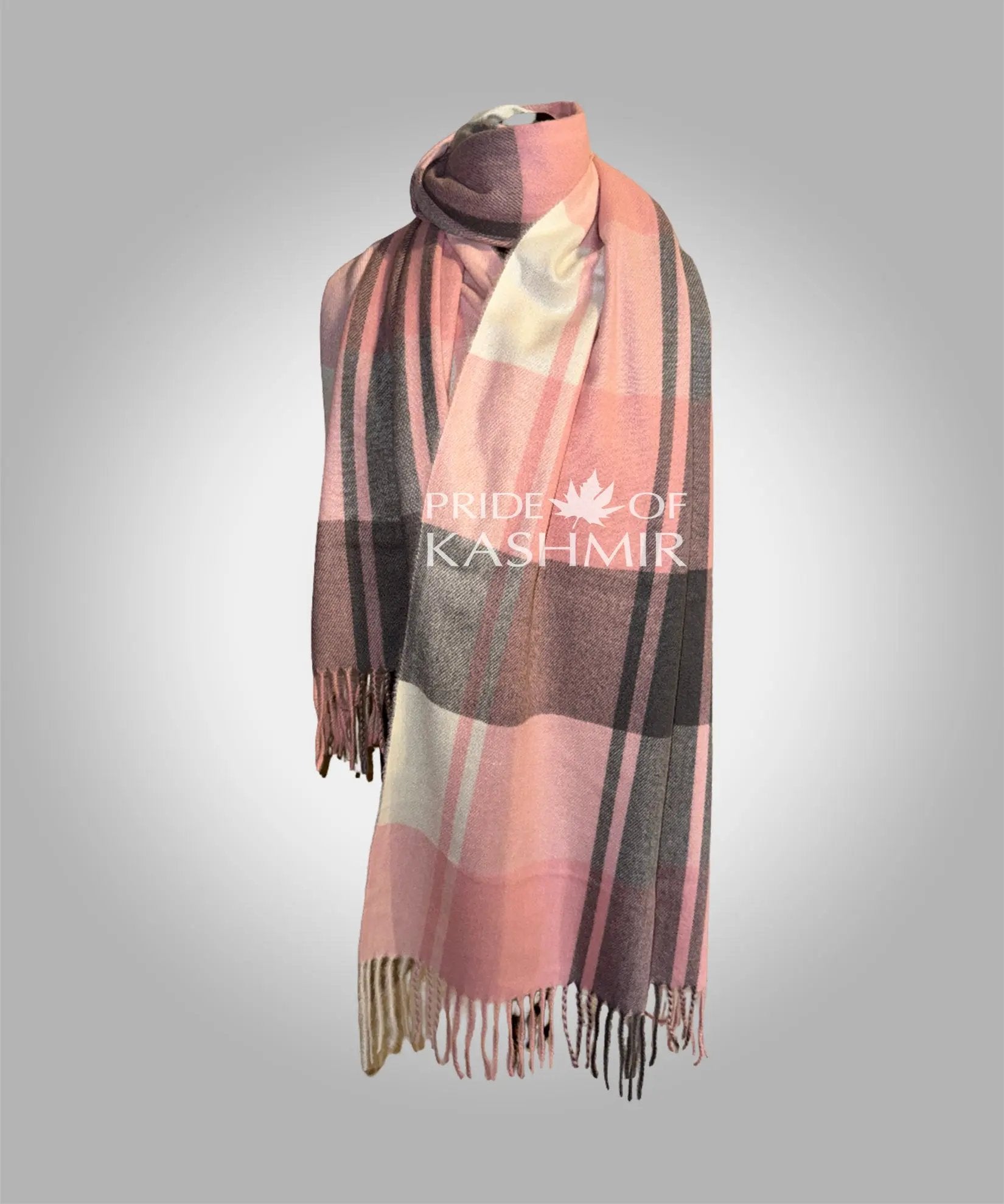 Rose Mirage Pride of Kashmir