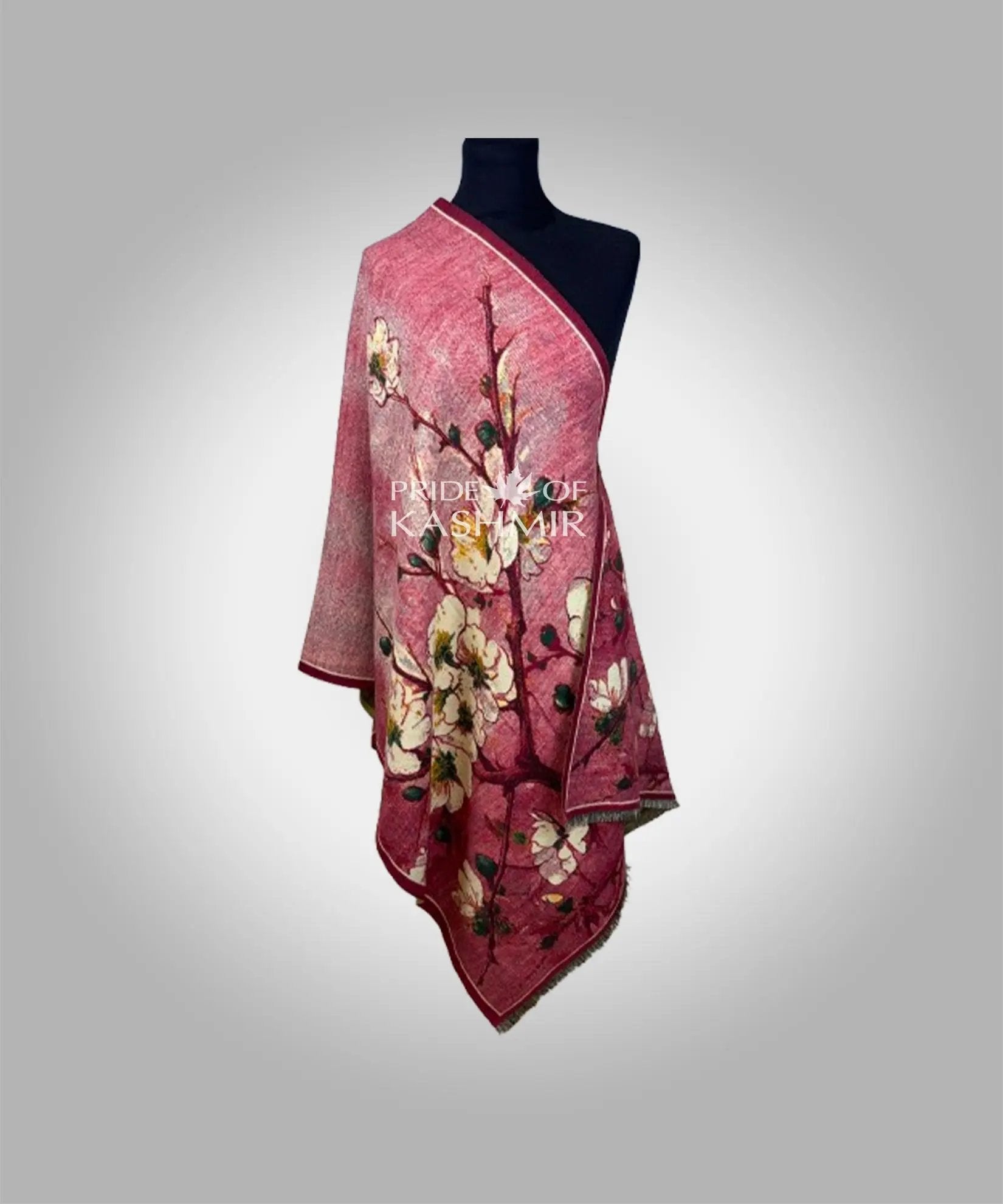 Cherry Vale Pride of Kashmir