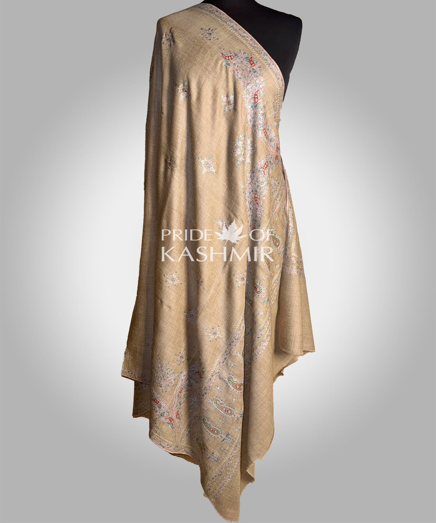 Pashmina Shawls