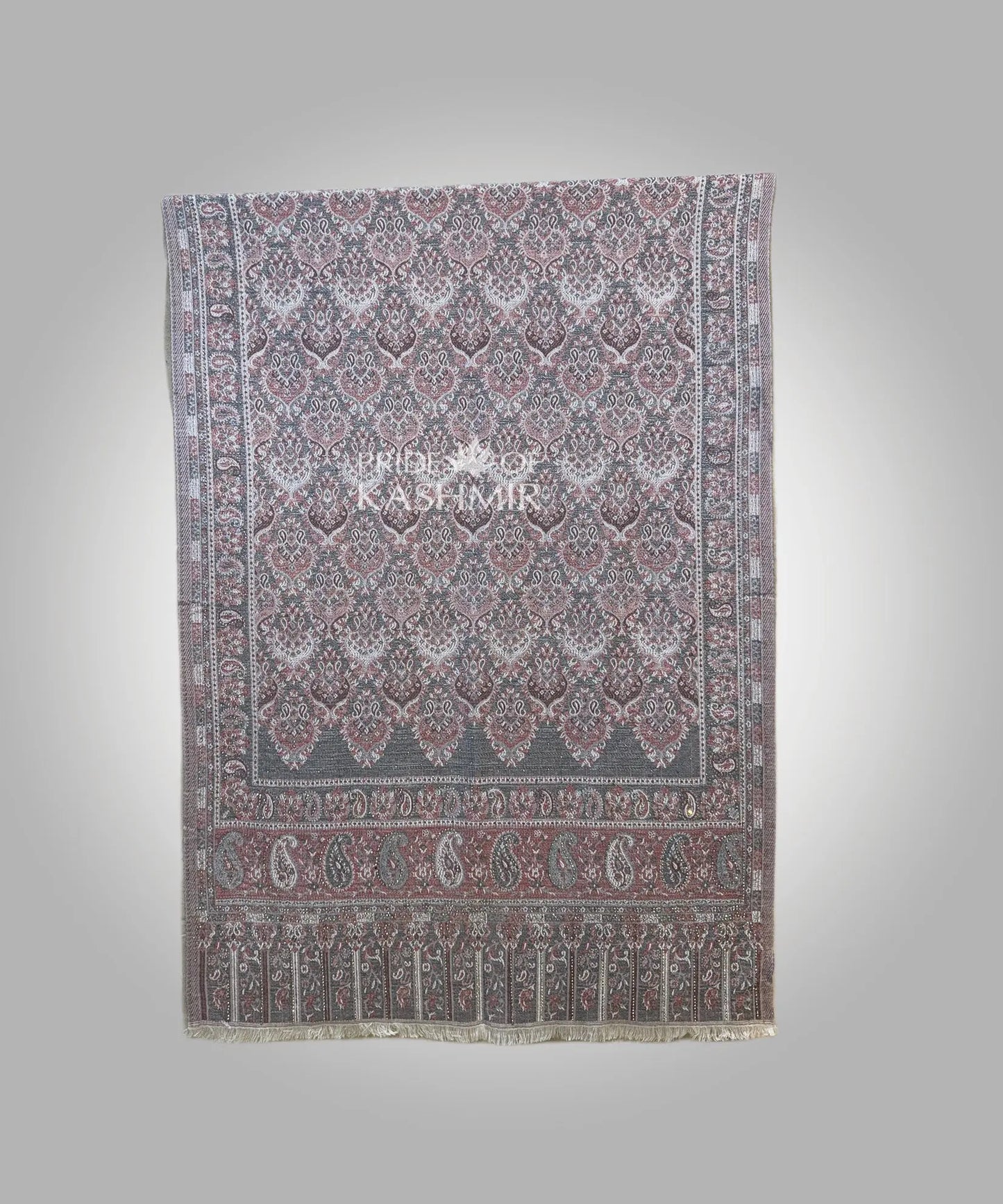 Orchid Mist Pride of Kashmir