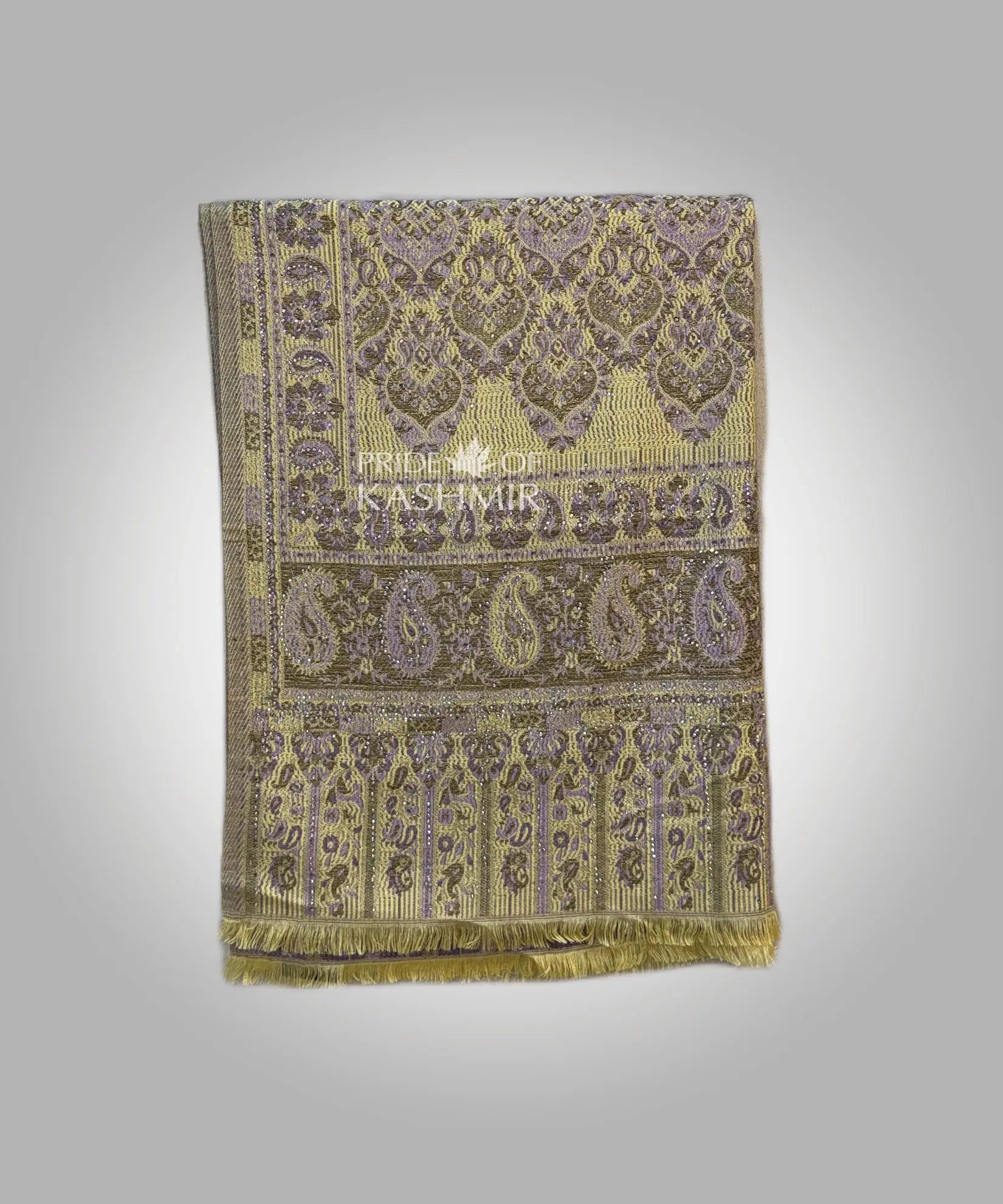 Golden Fern Pride of Kashmir