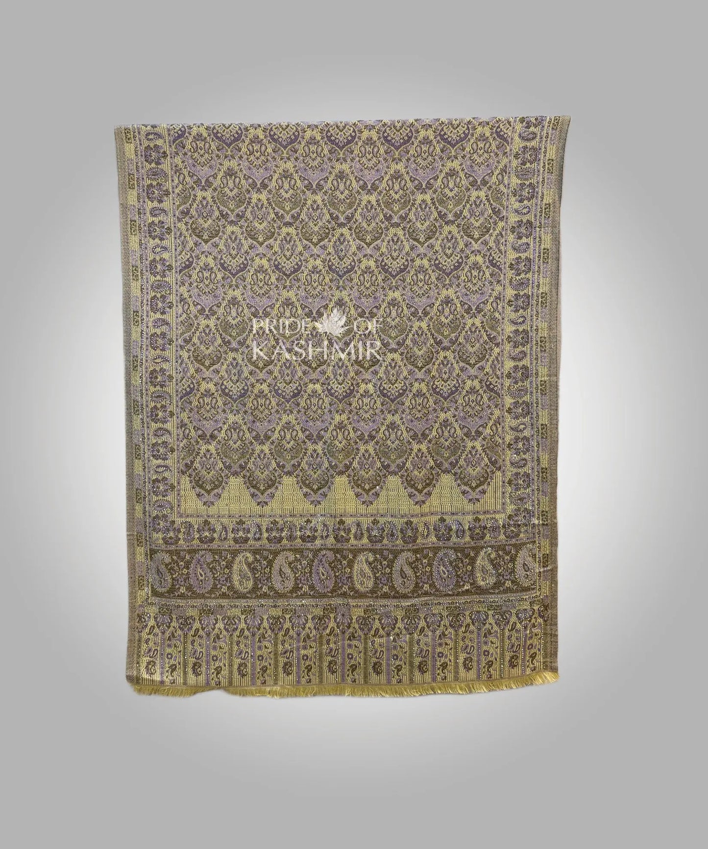 Golden Fern Pride of Kashmir