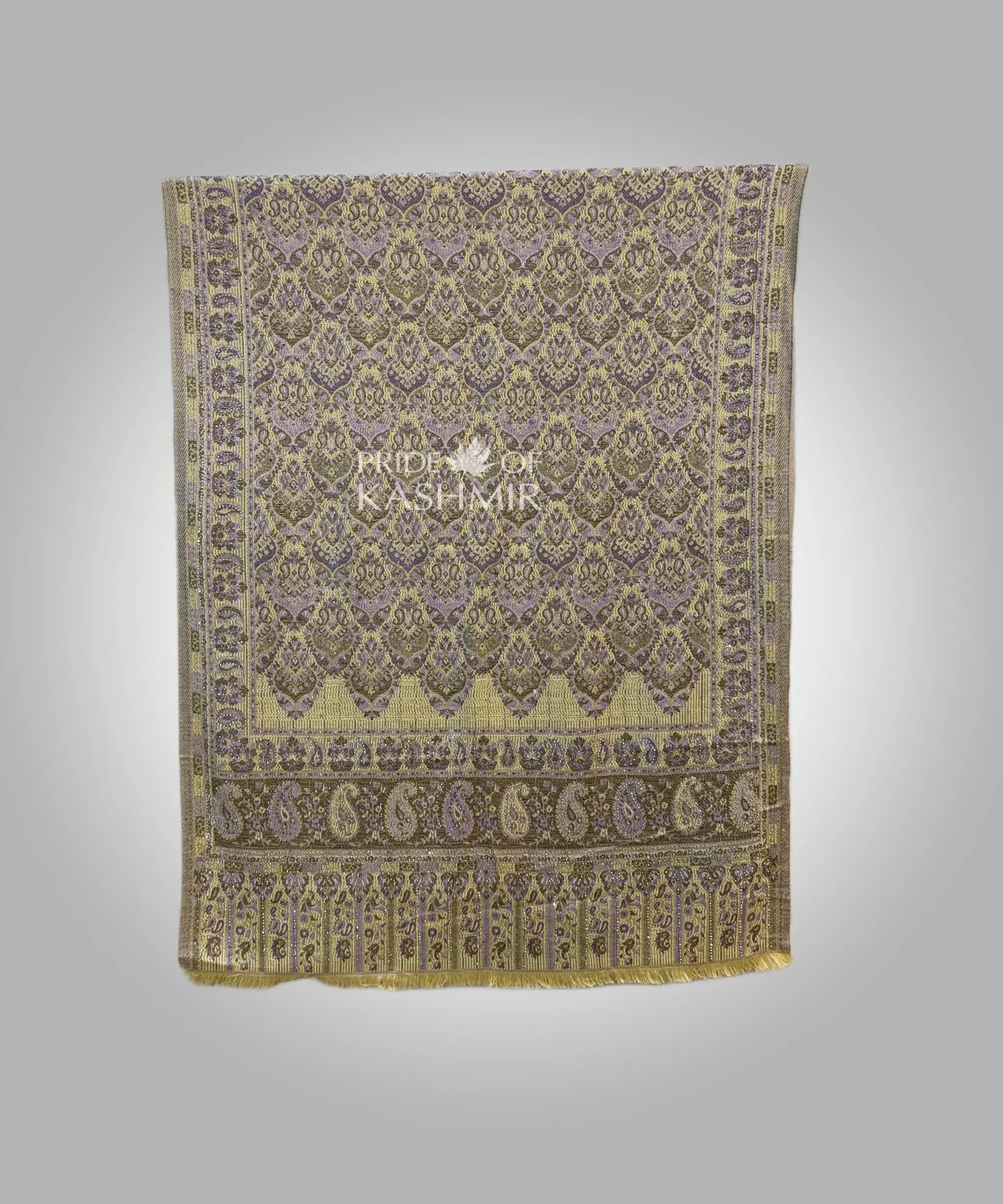 Golden Fern Pride of Kashmir