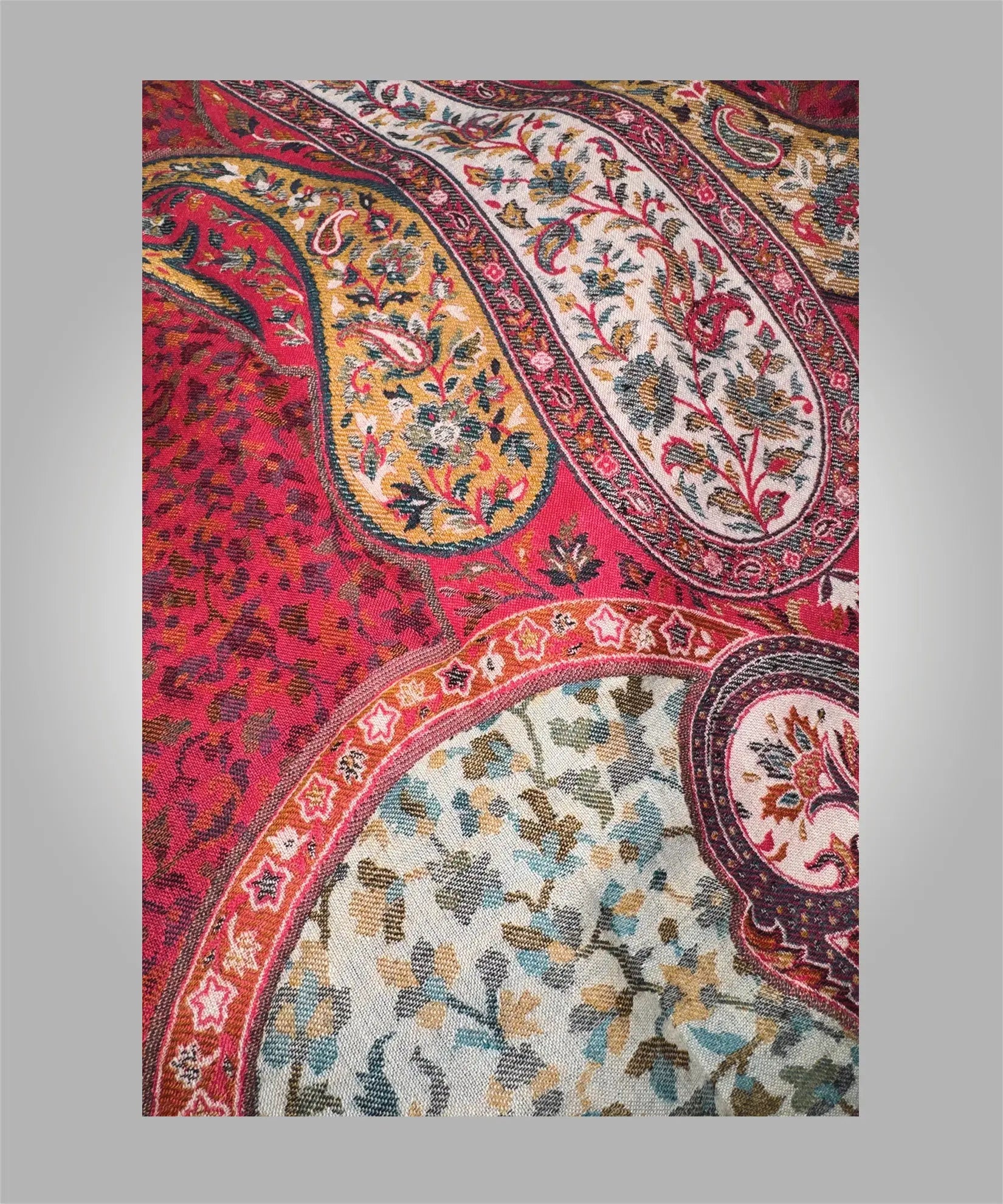 Royal Ember Pride of Kashmir