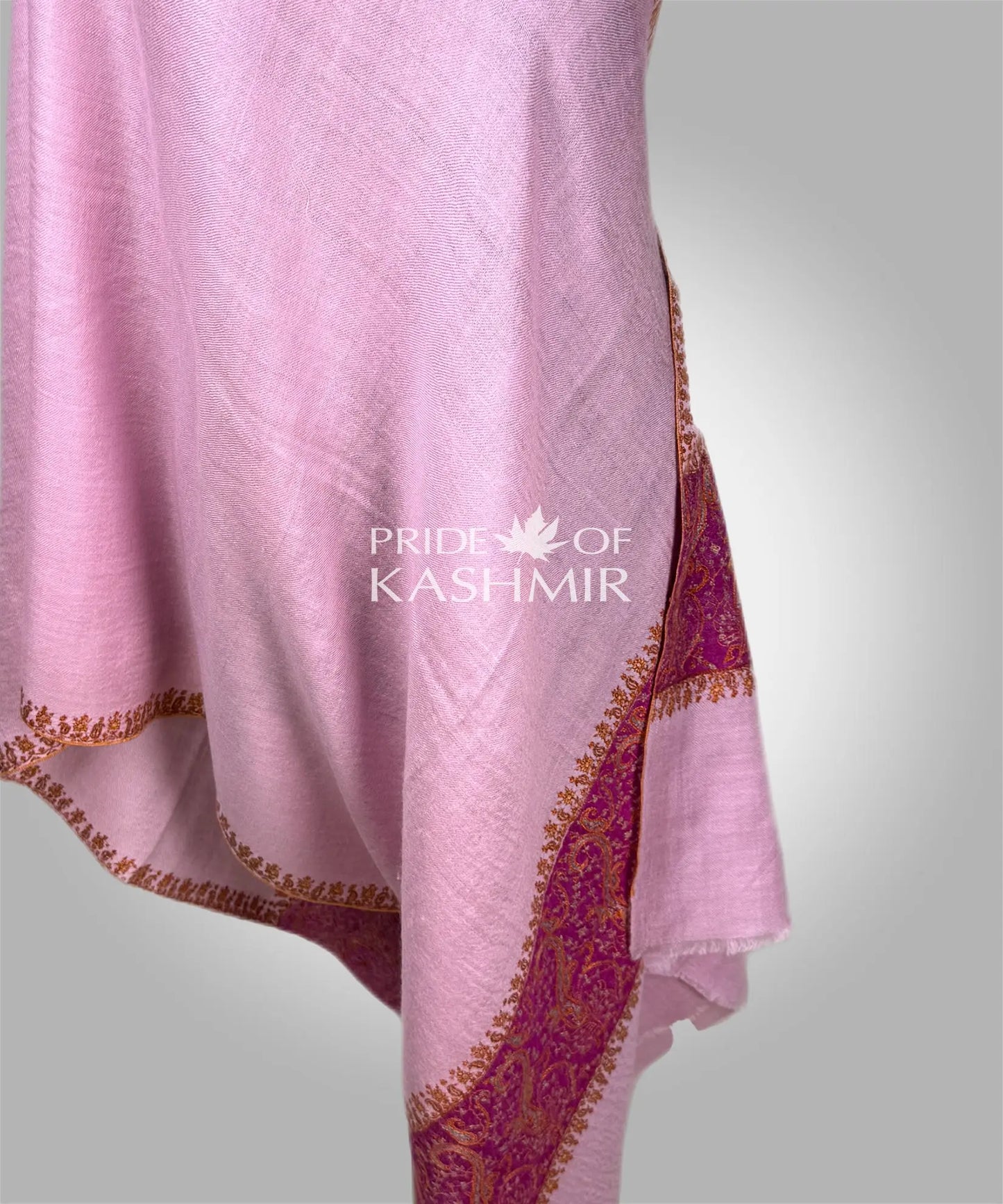 Rose Diwan Pride of Kashmir