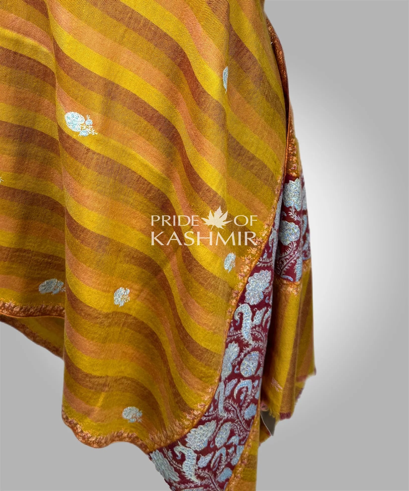 Amber Diwan Pride of Kashmir