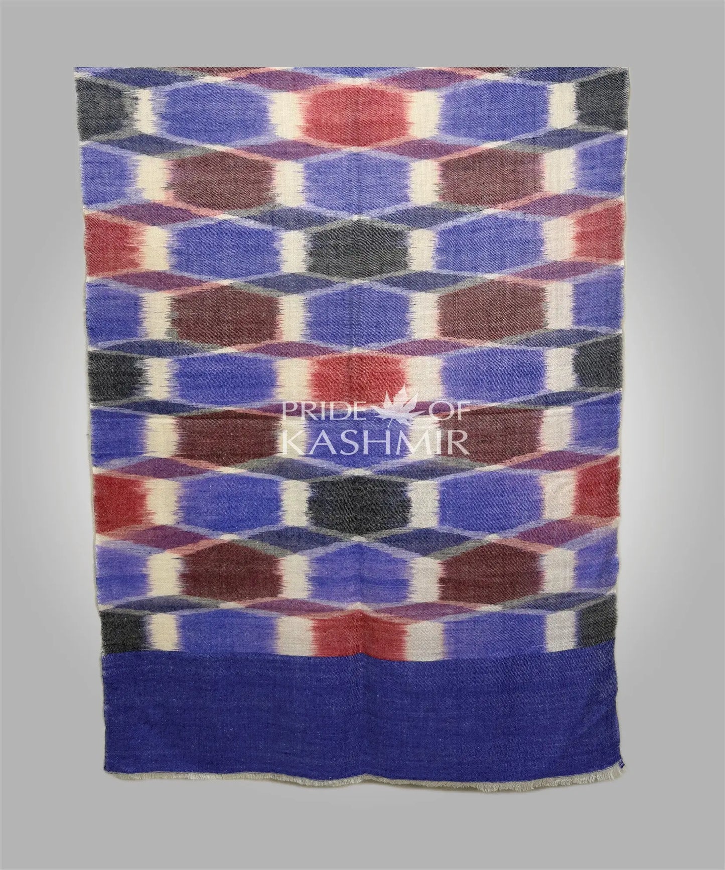 Indigo Caravan Pride of Kashmir
