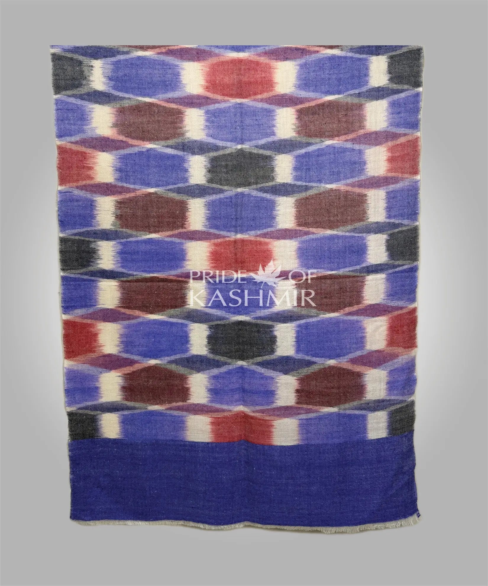 Indigo Caravan Pride of Kashmir