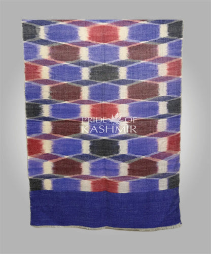 Indigo Caravan Pride of Kashmir