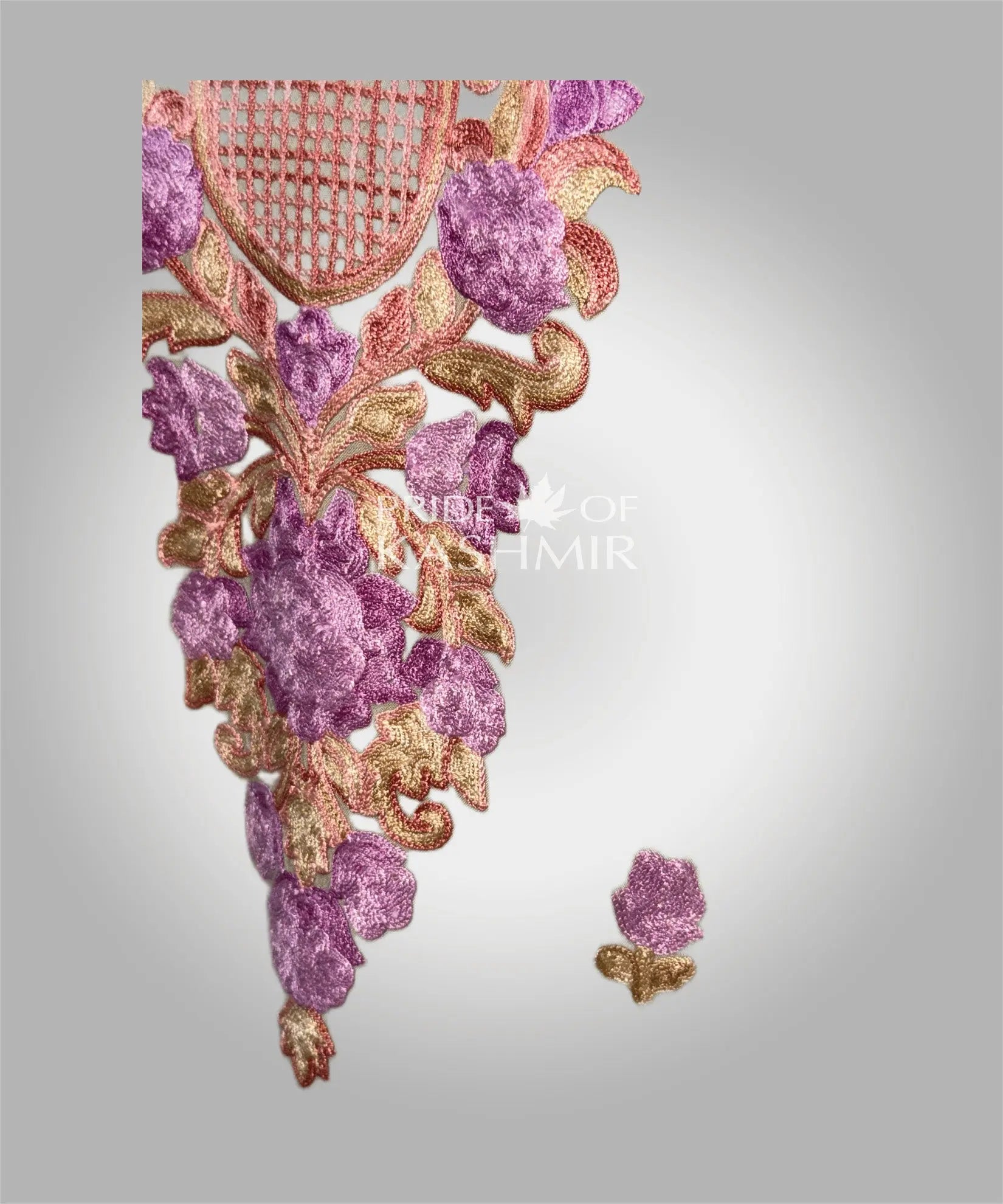 Spring Blush Pride of Kashmir