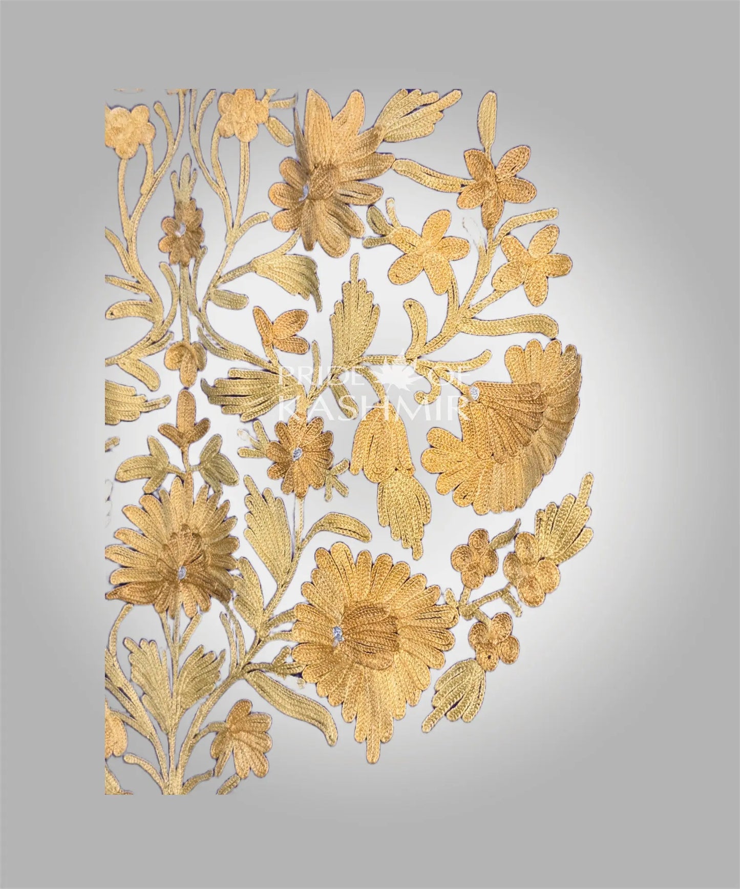 Ivory Bloom Pride of Kashmir